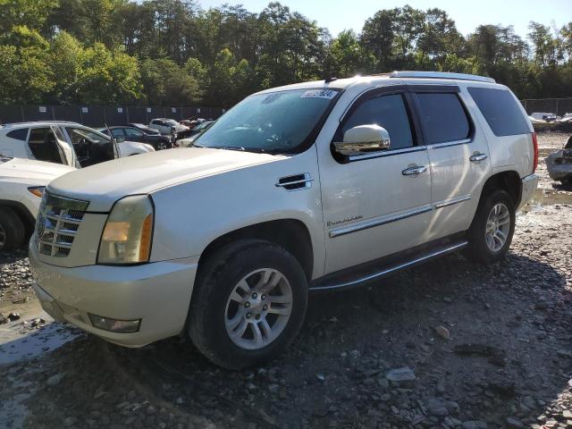 CADILLAC ESCALADE 2007 1gyfk63877r215724