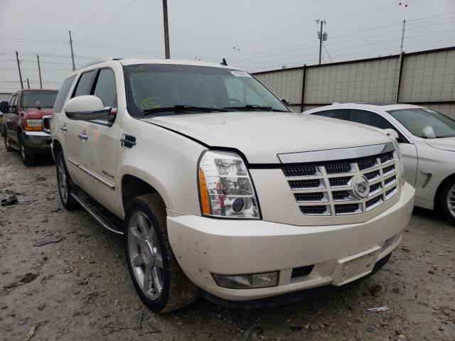 CADILLAC ESCALADE 2011 1gys3aef1br321542