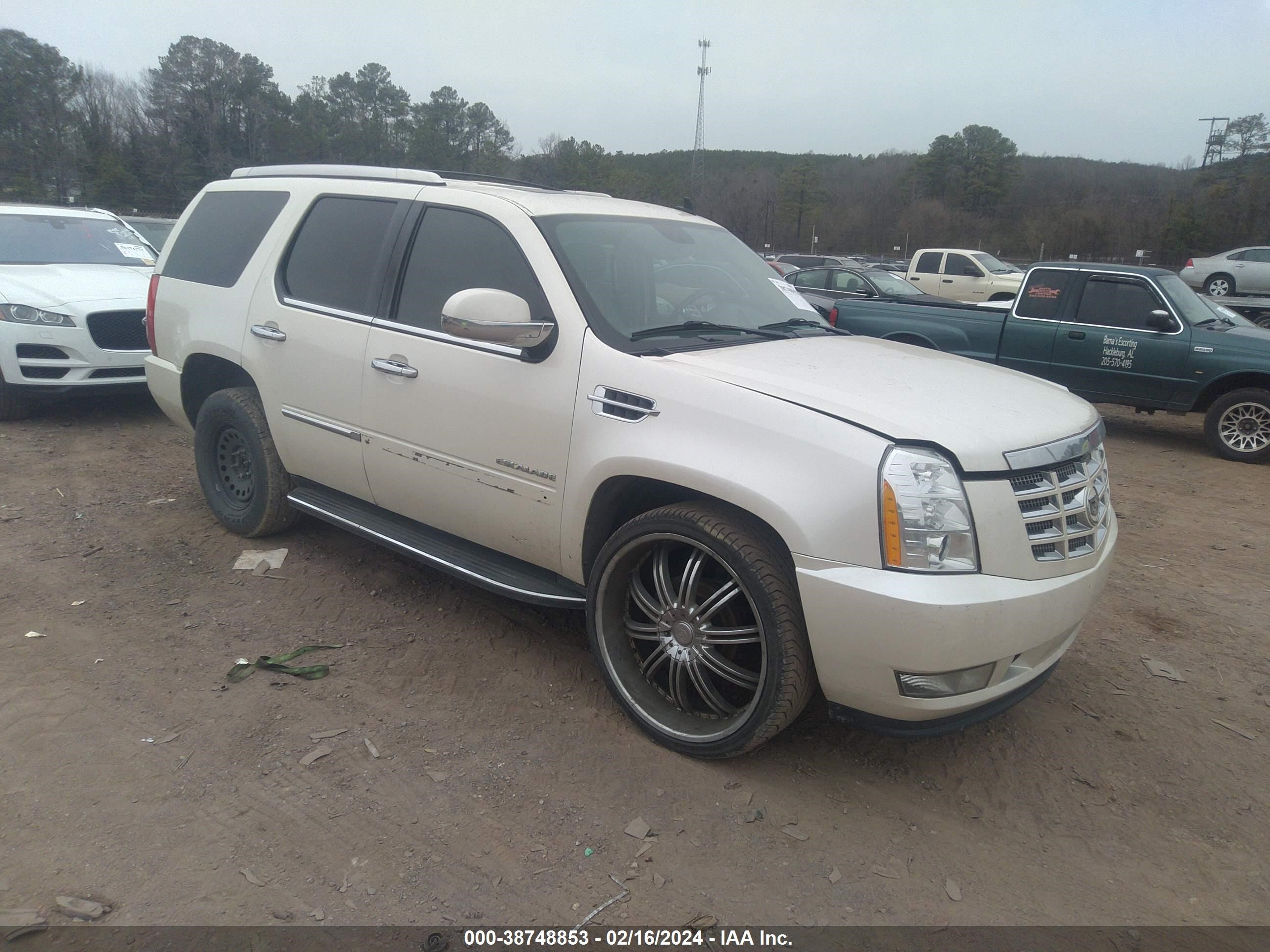 CADILLAC ESCALADE 2011 1gys3aef1br331956