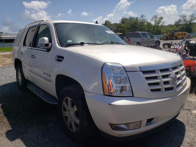 CADILLAC ESCALADE 2013 1gys3aef6dr226963