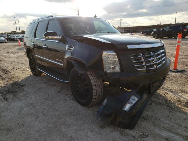 CADILLAC ESCALADE 2011 1gys3aef8br347216