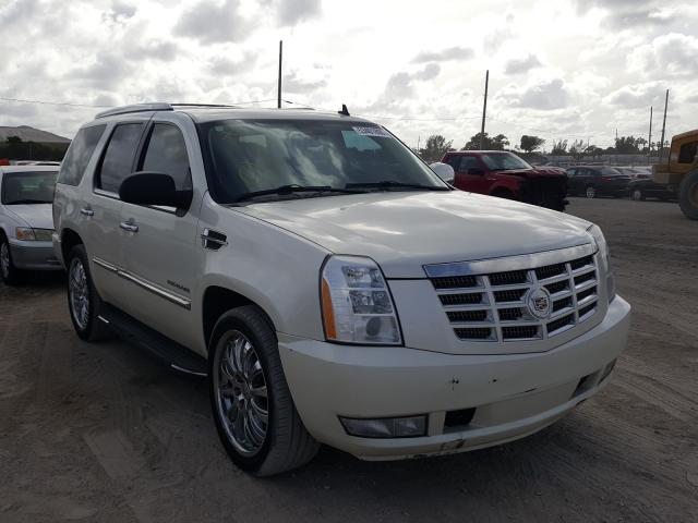 CADILLAC ESCALADE 2011 1gys3aef9br344972