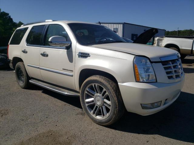 CADILLAC ESCALADE L 2013 1gys3bef1dr112875