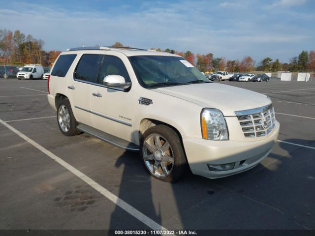 CADILLAC ESCALADE 2011 1gys3bef2br152427