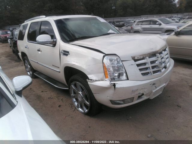 CADILLAC ESCALADE 2011 1gys3bef2br294602