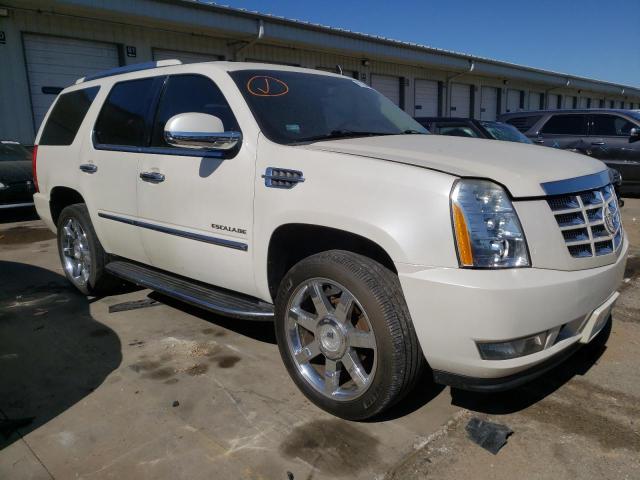 CADILLAC ESCALADE L 2013 1gys3bef3dr125496