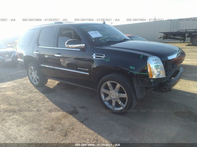 CADILLAC ESCALADE 2011 1gys3cef0br190079