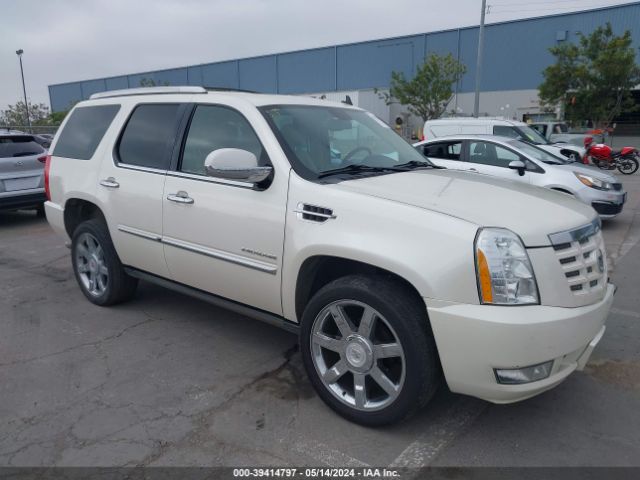 CADILLAC ESCALADE 2011 1gys3cef0br349036