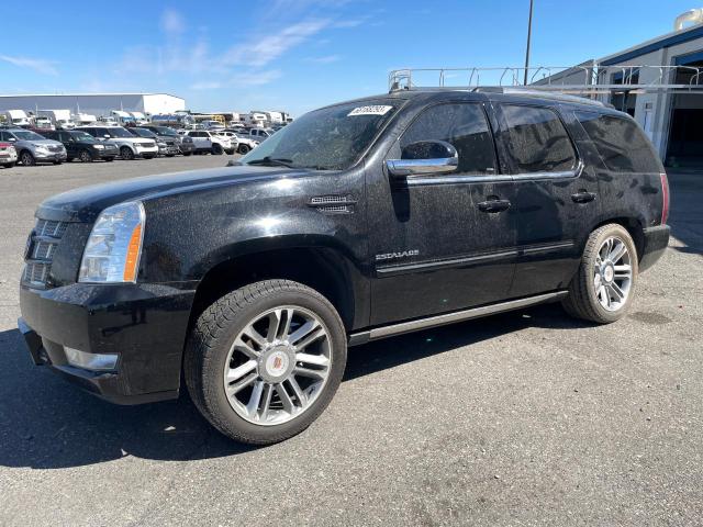 CADILLAC ESCALADE P 2014 1gys3cef0er116763