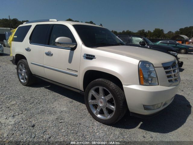 CADILLAC ESCALADE 2011 1gys3cef1br370767