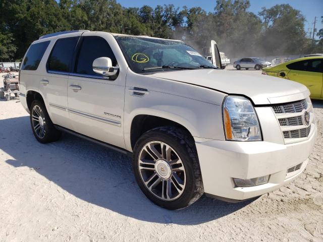 CADILLAC ESCALADE P 2012 1gys3cef1cr291729