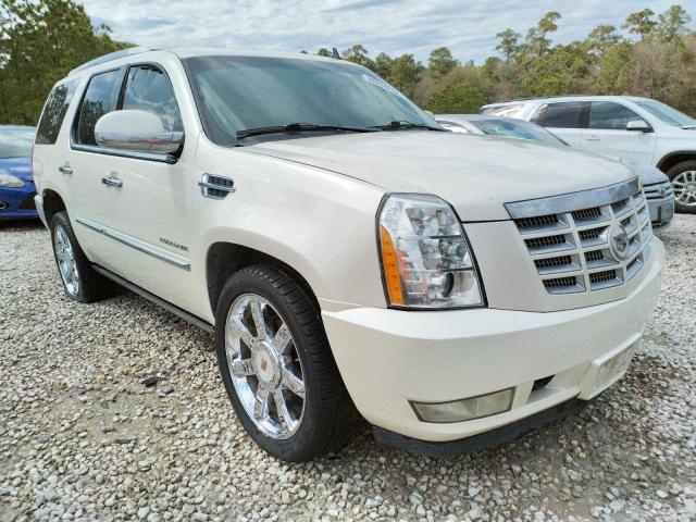 CADILLAC ESCALADE P 2011 1gys3cef2br151123