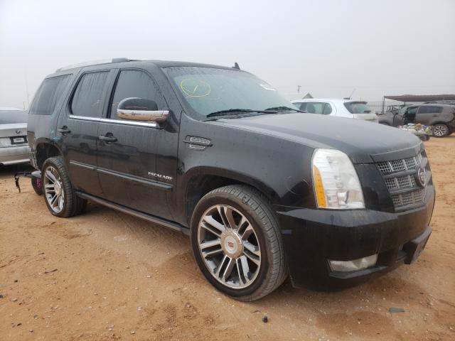 CADILLAC ESCALADE P 2013 1gys3cef2dr284998