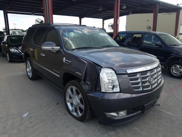 CADILLAC ESCALADE P 2011 1gys3cef3br145220