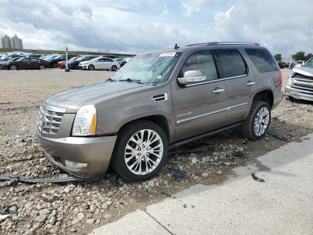 CADILLAC ESCALADE P 2011 1gys3cef3br148893