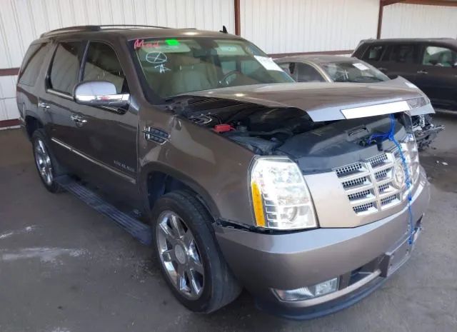 CADILLAC ESCALADE 2011 1gys3cef4br203027