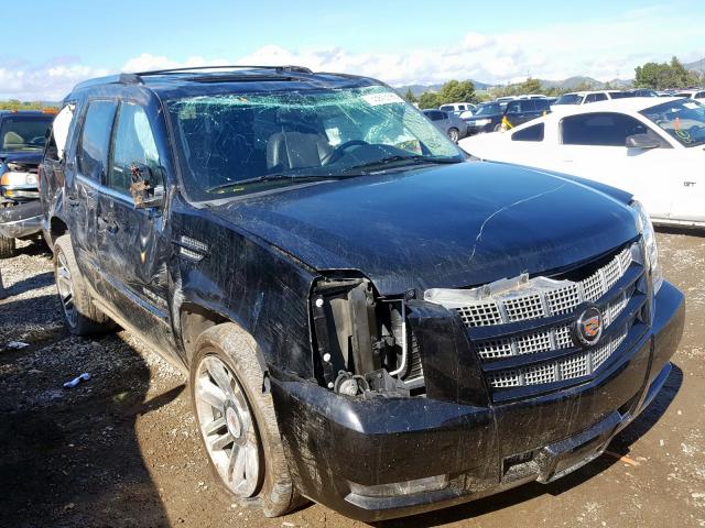 CADILLAC ESCALADE P 2014 1gys3cef4er184192