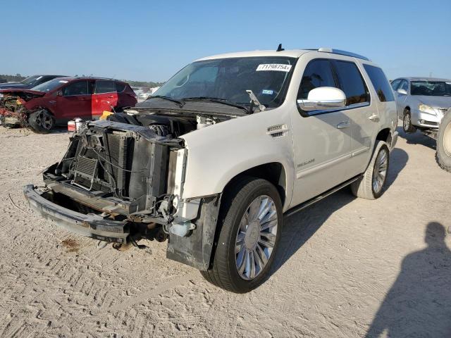 CADILLAC ESCALADE P 2014 1gys3cef4er229647