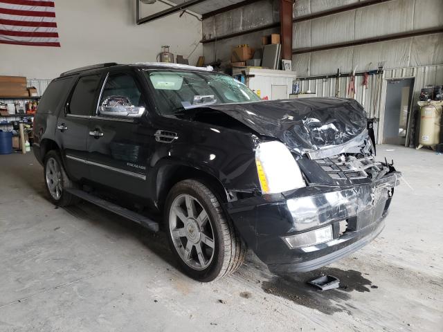 CADILLAC ESCALADE P 2011 1gys3cef5br346424