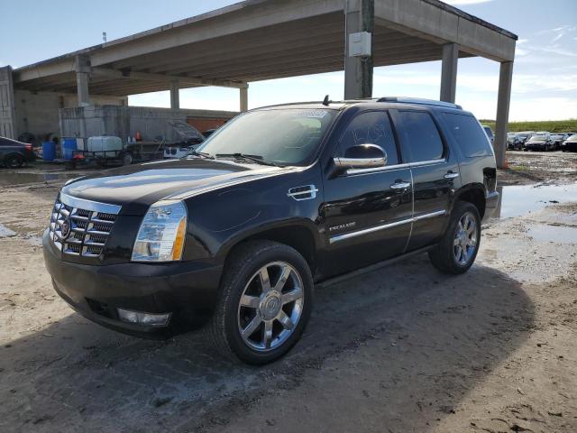 CADILLAC ESCALADE P 2011 1gys3cef5br353275