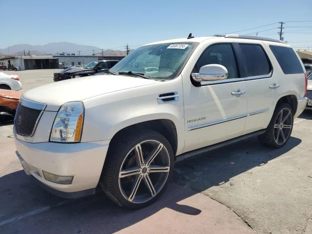 CADILLAC ESCALADE P 2011 1gys3cef6br160472