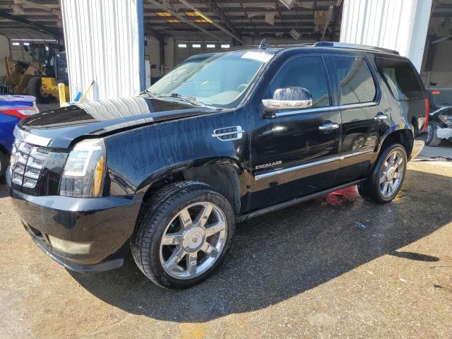 CADILLAC ESCALADE P 2011 1gys3cef6br164733