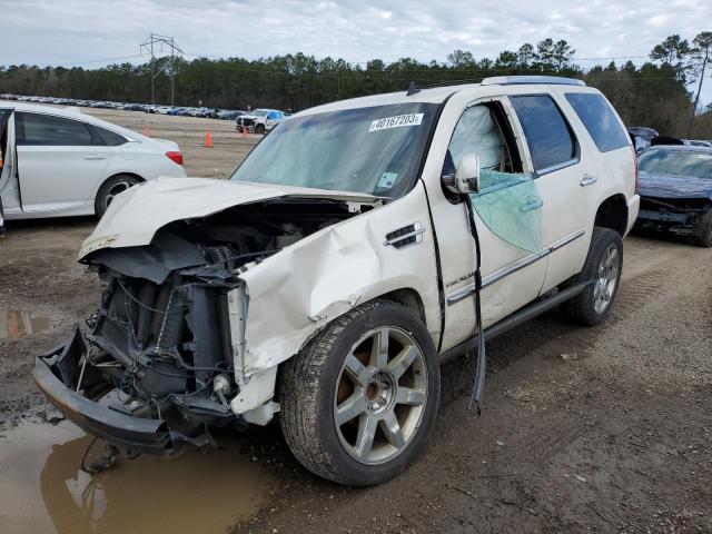 CADILLAC ESCALADE P 2011 1gys3cef6br379030