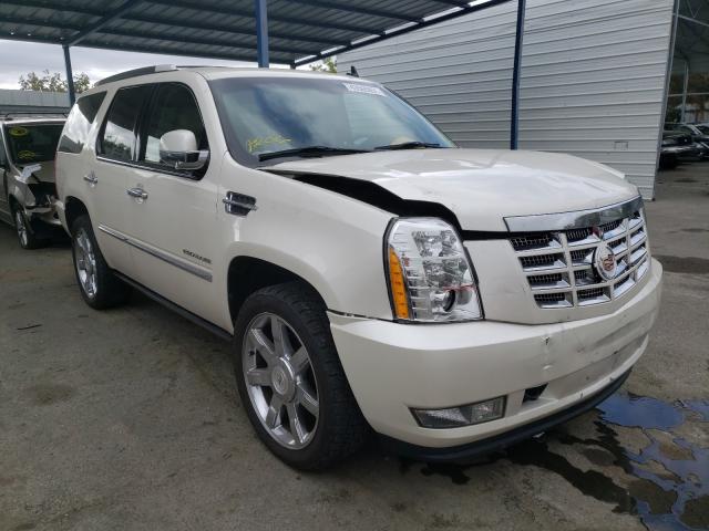 CADILLAC ESCALADE P 2011 1gys3cef7br128274