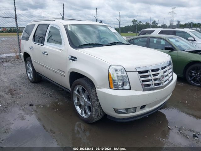 CADILLAC ESCALADE 2011 1gys3cef7br149898