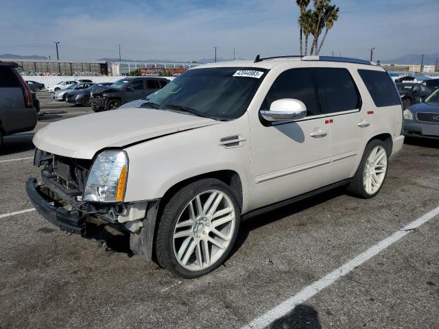 CADILLAC ESCALADE P 2013 1gys3cef7dr156482