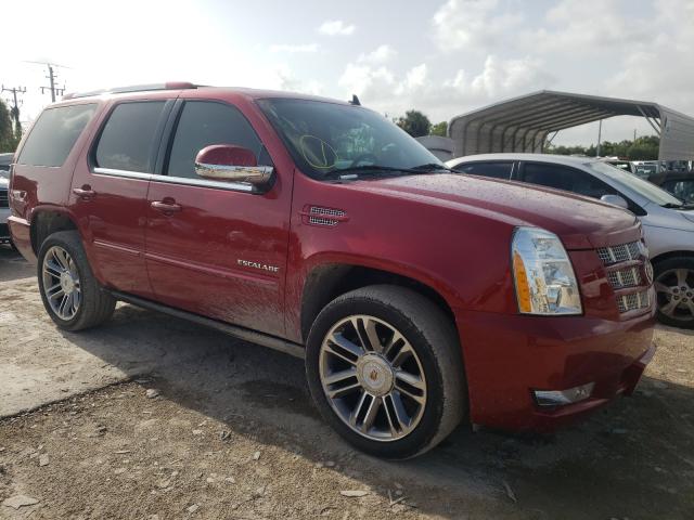 CADILLAC ESCALADE P 2013 1gys3cef7dr209178