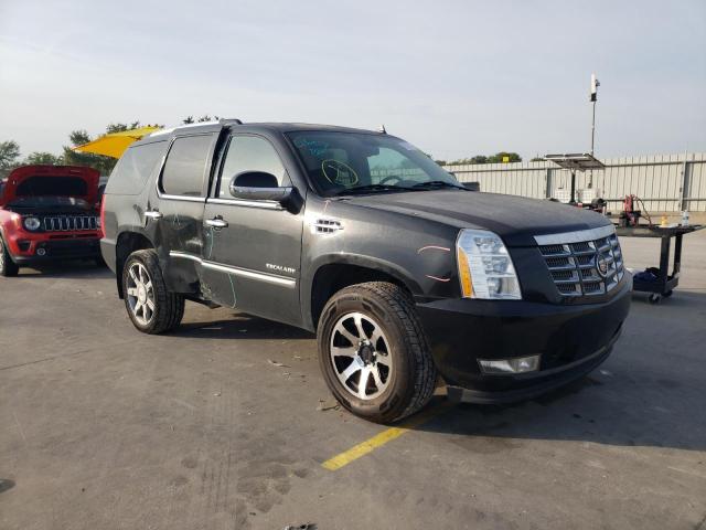 CADILLAC ESCALADE P 2011 1gys3cef9br338410