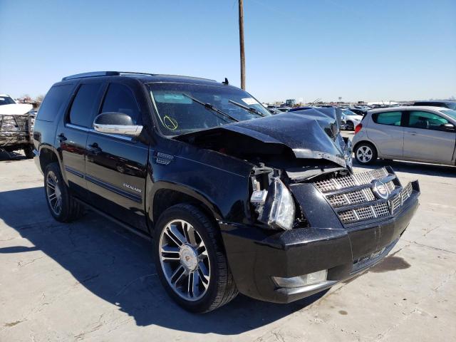 CADILLAC ESCALADE P 2013 1gys3cef9dr102987