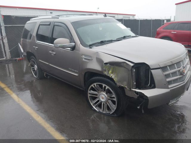 CADILLAC ESCALADE 2013 1gys3cef9dr124021