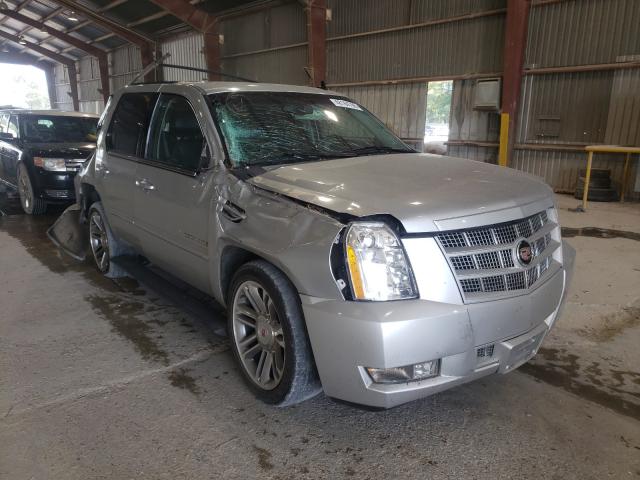 CADILLAC ESCALADE P 2013 1gys3cef9dr286179