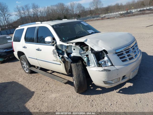 CADILLAC ESCALADE 2011 1gys3cefxbr297138