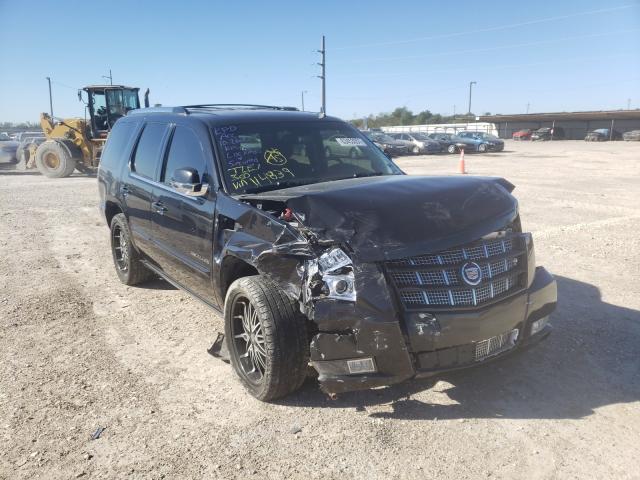 CADILLAC ESCALADE P 2013 1gys3cefxdr114839