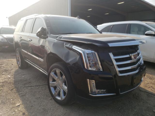 CADILLAC ESCALADE P 2019 1gys3ckj3kr257749