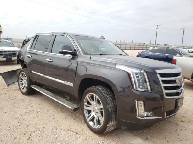 CADILLAC ESCALADE P 2016 1gys3ckj5gr146319