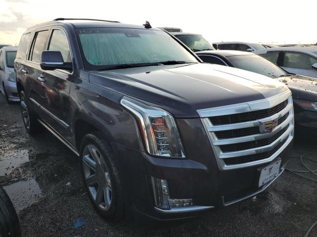 CADILLAC ESCALADE P 2016 1gys3ckj5gr172399