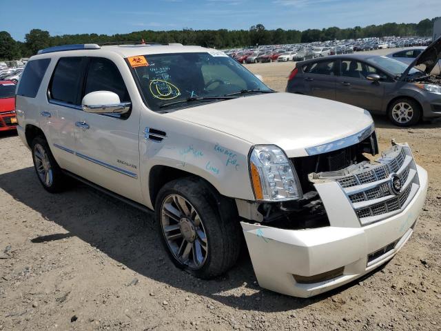 CADILLAC ESCALADE P 2012 1gys3def1cr286651