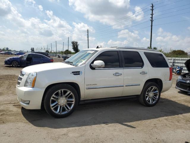 CADILLAC ESCALADE P 2011 1gys3def4br284049