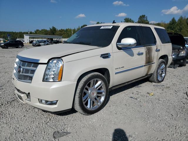 CADILLAC ESCALADE P 2013 1gys3def6dr179435