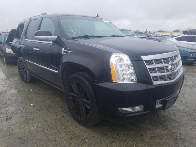 CADILLAC ESCALADE P 2014 1gys3defxer109549