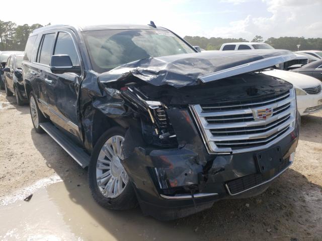 CADILLAC ESCALADE P 2019 1gys3dkj4kr317205