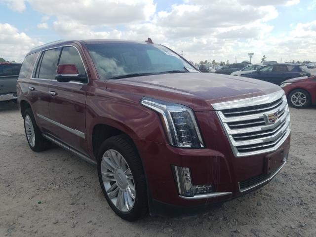 CADILLAC ESCALADE P 2019 1gys3dkj9kr123351