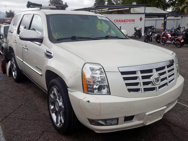 CADILLAC ESCALADE H 2011 1gys3eej6br231783