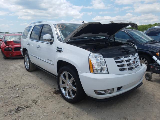 CADILLAC ESCALADE H 2013 1gys3eej8dr274573