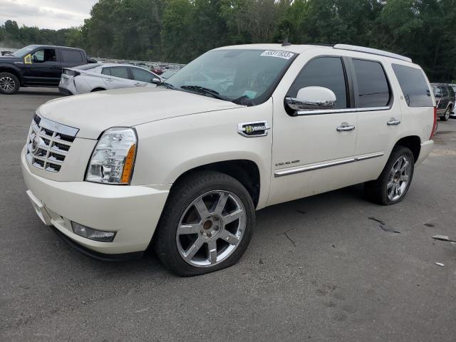 CADILLAC ESCALADE P 2011 1gys3fej9br260488