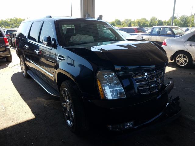 CADILLAC ESCALADE E 2011 1gys3hef2br155640